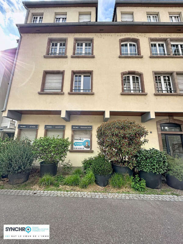 Commerce à MULHOUSE