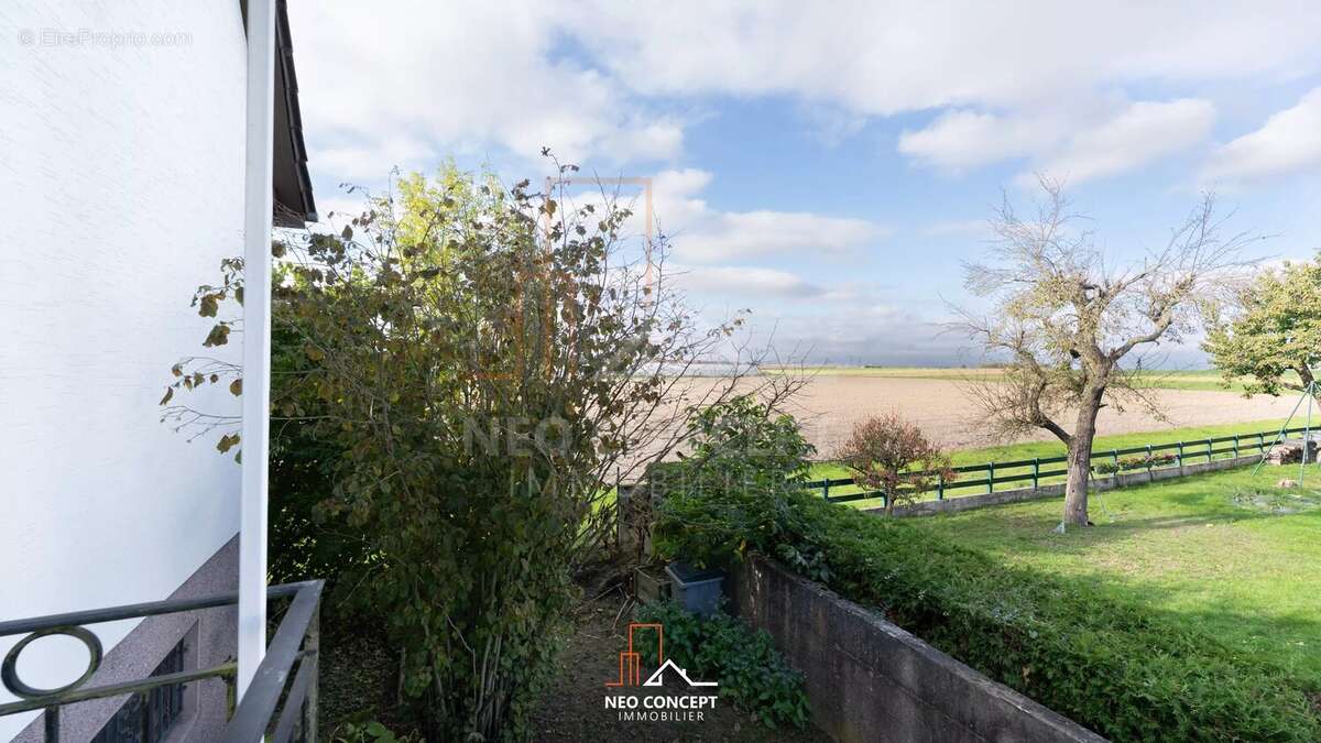 Maison à STUTZHEIM-OFFENHEIM