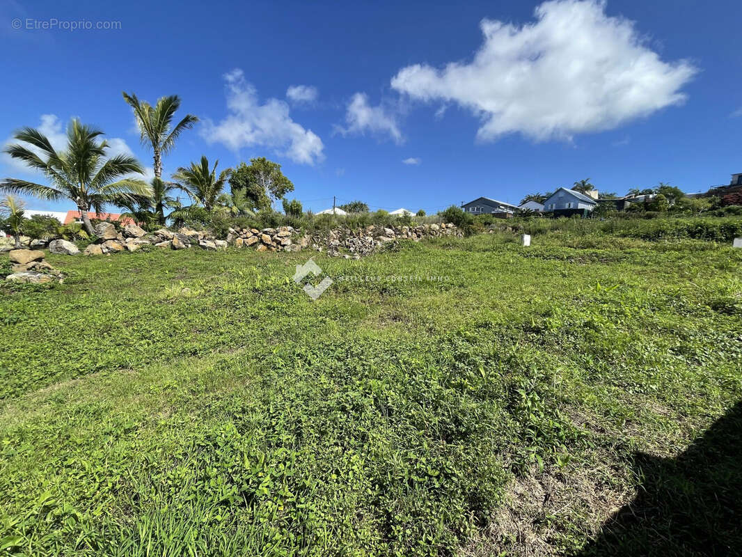 Terrain à PETITE-ILE