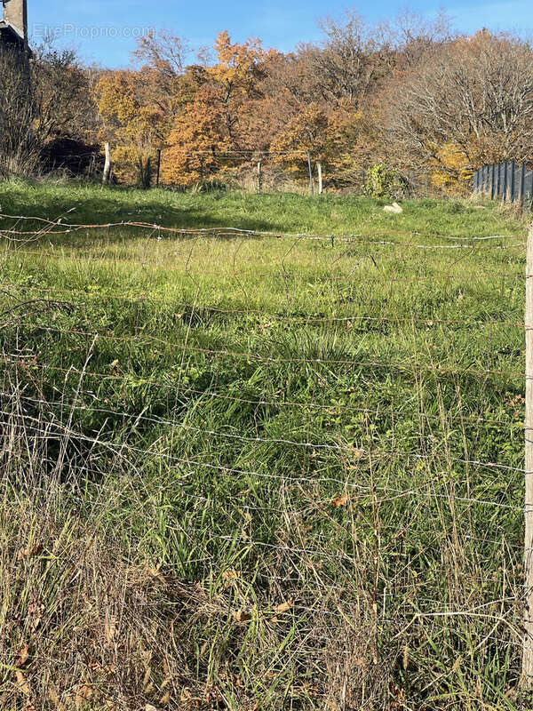 Terrain à PLANCHER-BAS