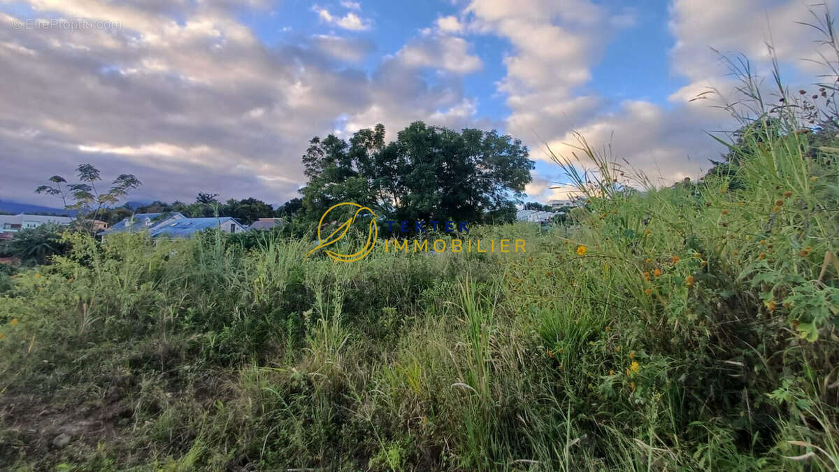 Terrain à LE TAMPON