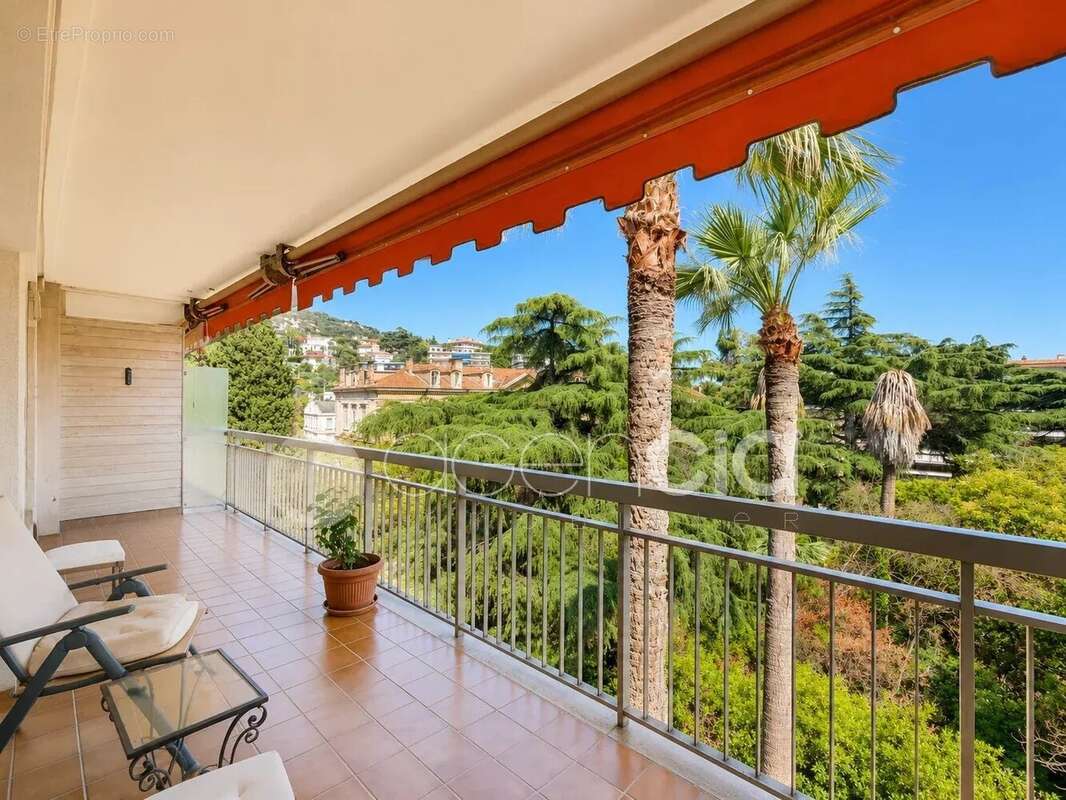 Charmant 2 pièces à Cannes avec grande terrasse - photo 9