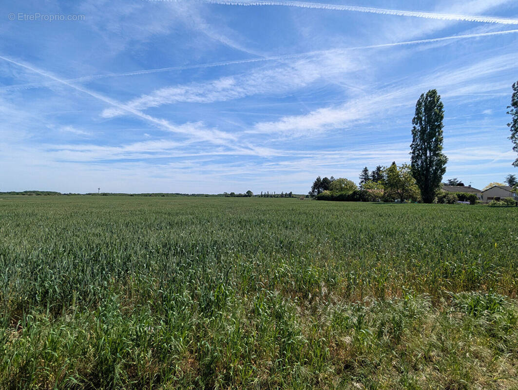 Terrain à CHAUVIGNY