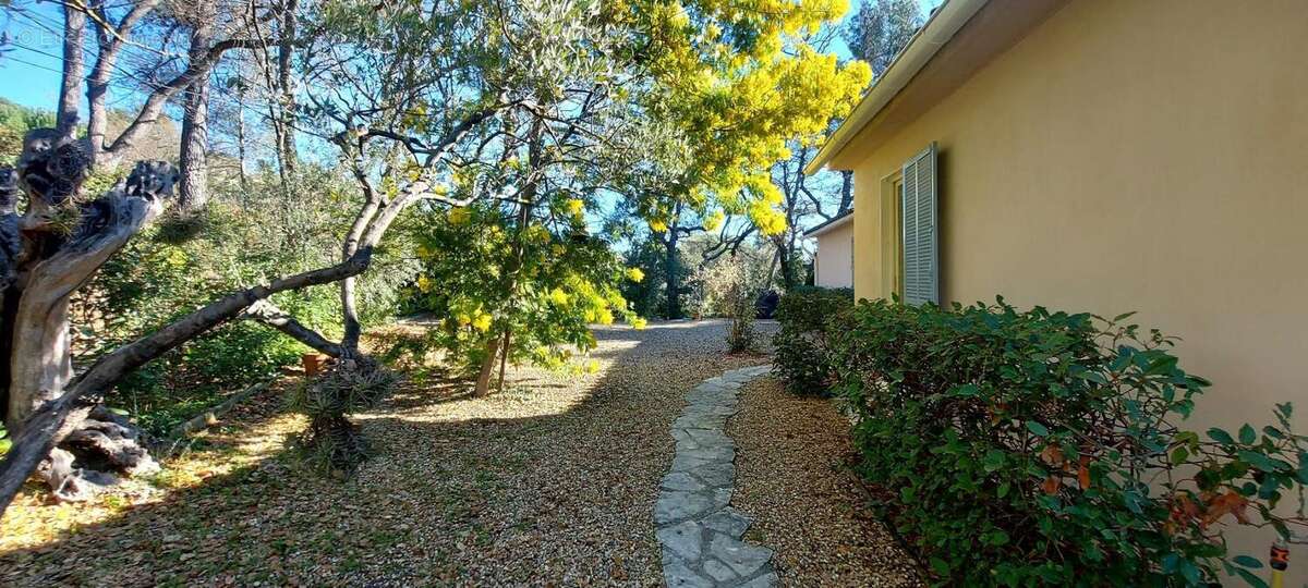 Maison à DRAGUIGNAN
