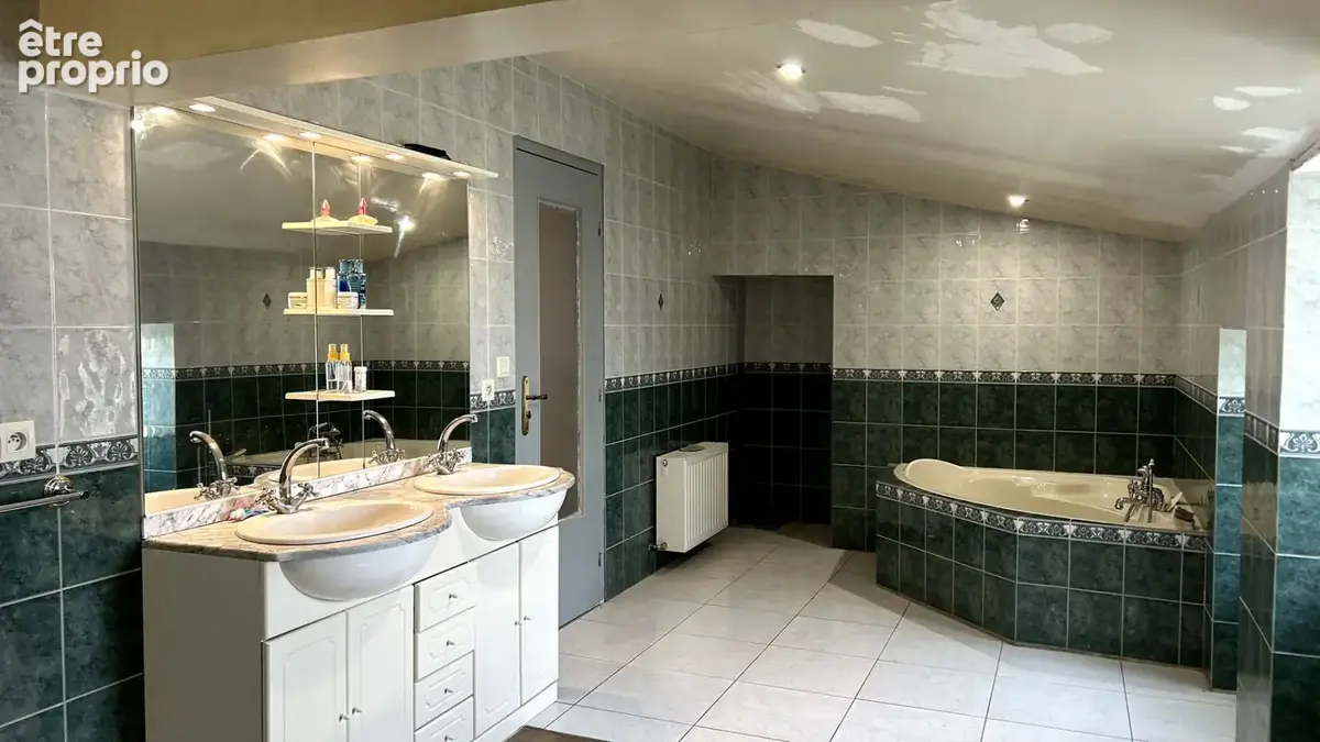 Maison  7 pièce(s) 208 m2 SEGRE EN ANJOU BLEU - photo 9