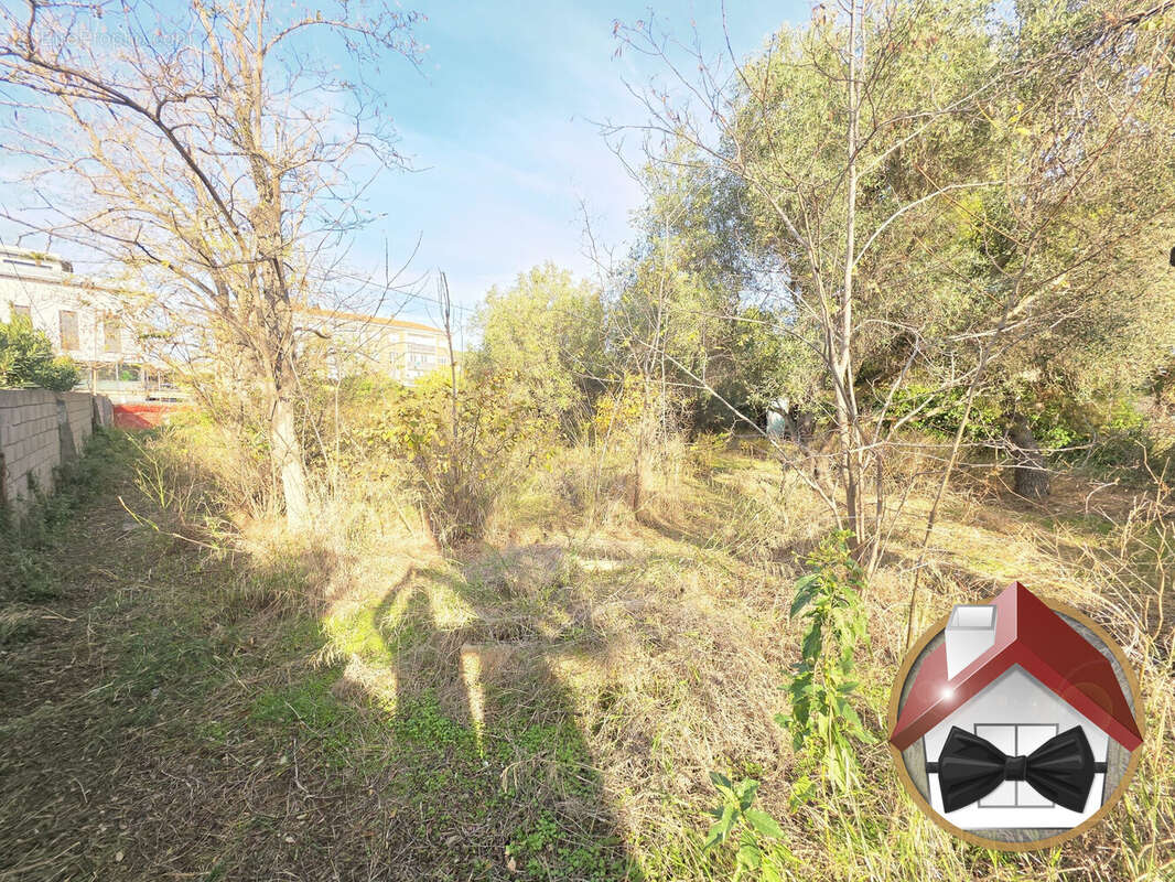 Terrain à FRONTIGNAN