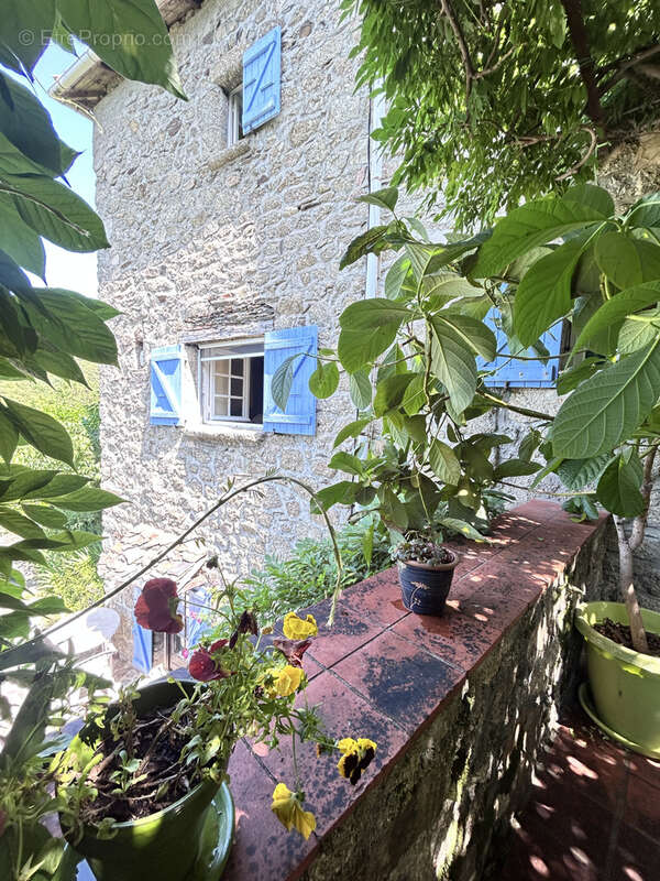 Maison à SAINT-ANDRE-DE-MAJENCOULES