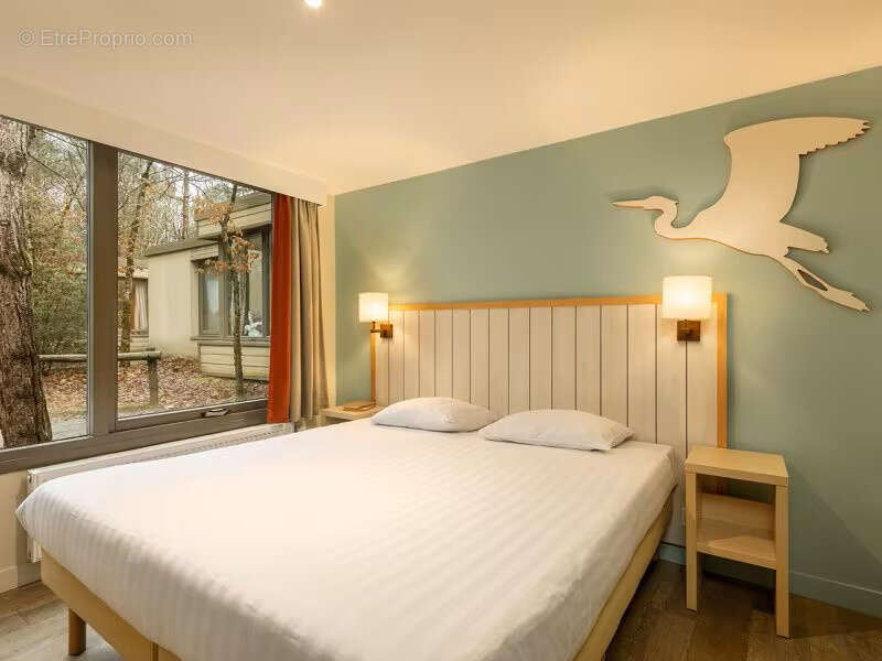 Investissement dans un Center Parcs - photo 7