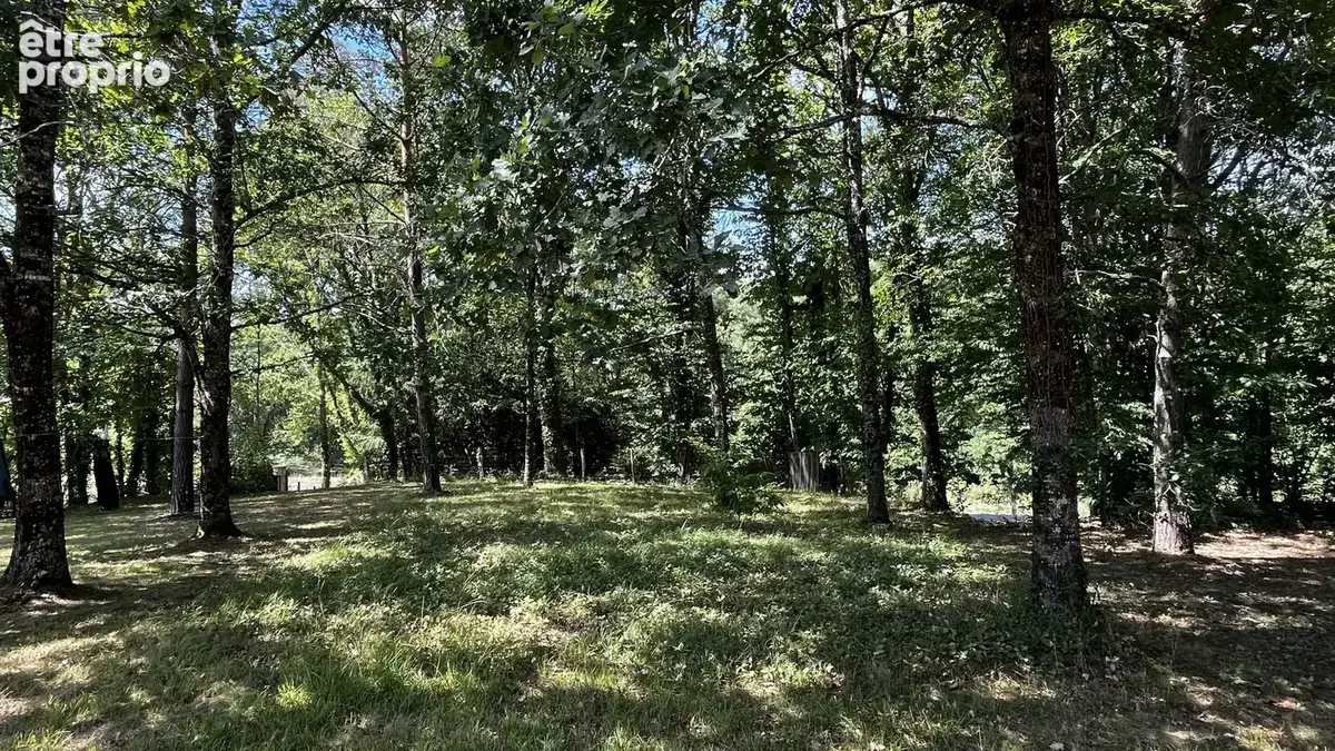 Maison de plain-pied avec piscine dans un environnement calme - photo 15