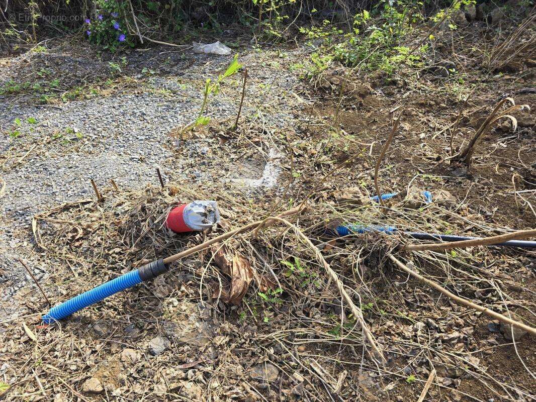 Terrain à SAINT-PIERRE