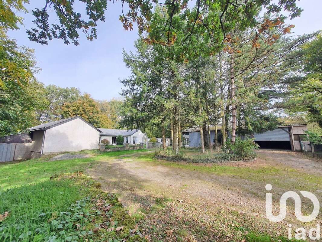 Photo 3 - Maison à DINGE