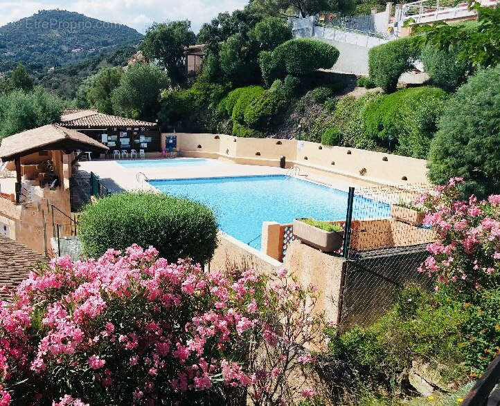 Terrain 246M2 dans un domaine privé et sécurisé - photo 5