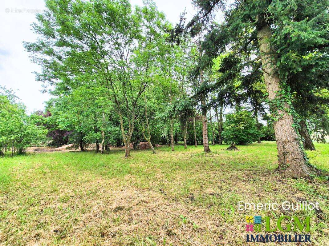  À vendre – Maison à rénover - Grand Garage - Grange - Greniers - Grand Terrain arboré à Écoman (41290) - photo 13