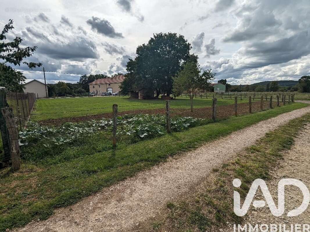 Photo 7 - Terrain à CELLES-EN-BASSIGNY