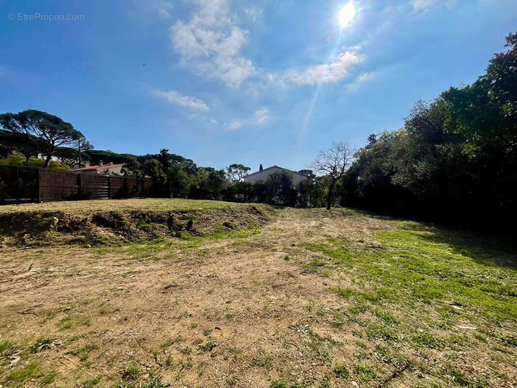 Terrain à LES ISSAMBRES