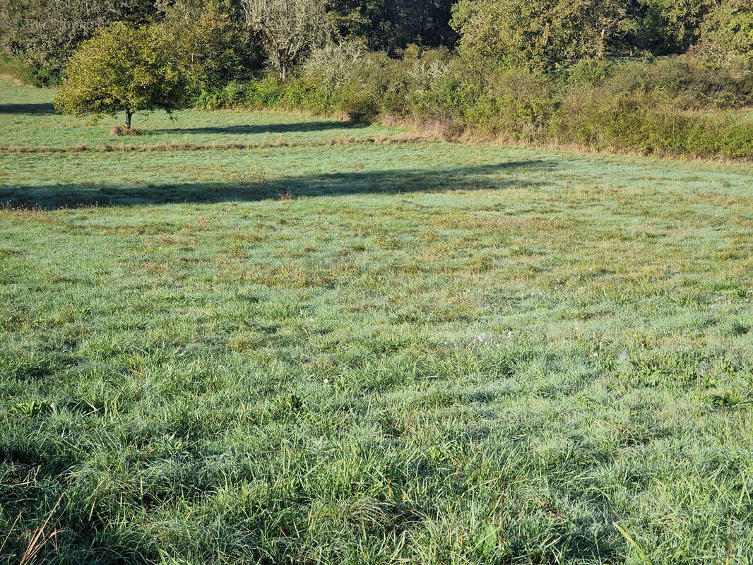 Terrain à NADAILLAC