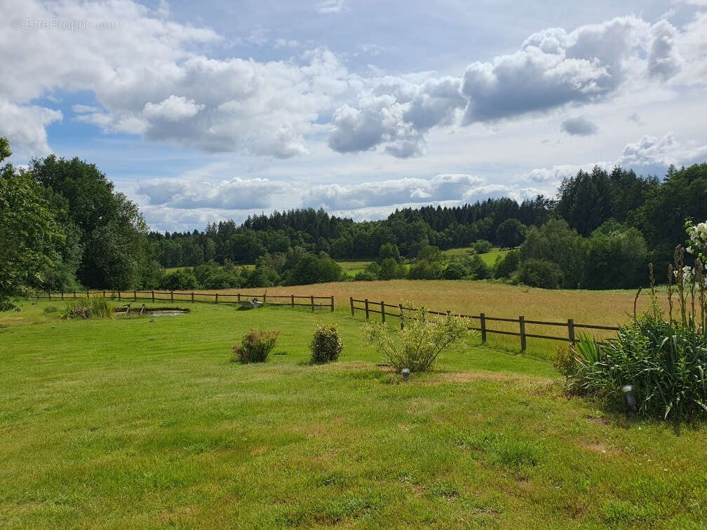 Magnifique propriété du 17éme, 2,5 ha prairie attenant, piscine, proche bourg tous commerces. - photo 23