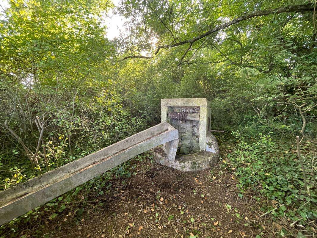 Maison à CHATEAUMEILLANT