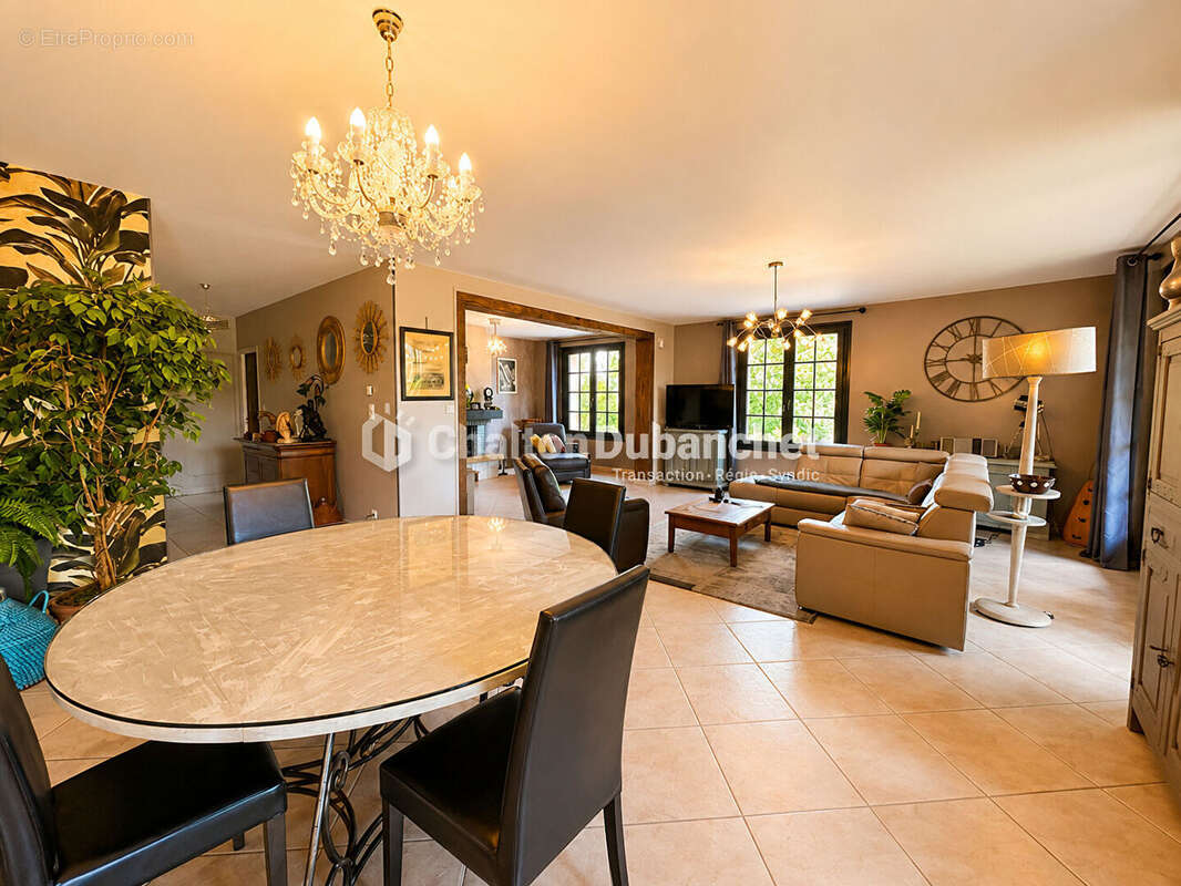 MONTAIGUET EN FOREZ - Maison de 330 m² sur  35000 m² de terrain et deux étangs - photo 12
