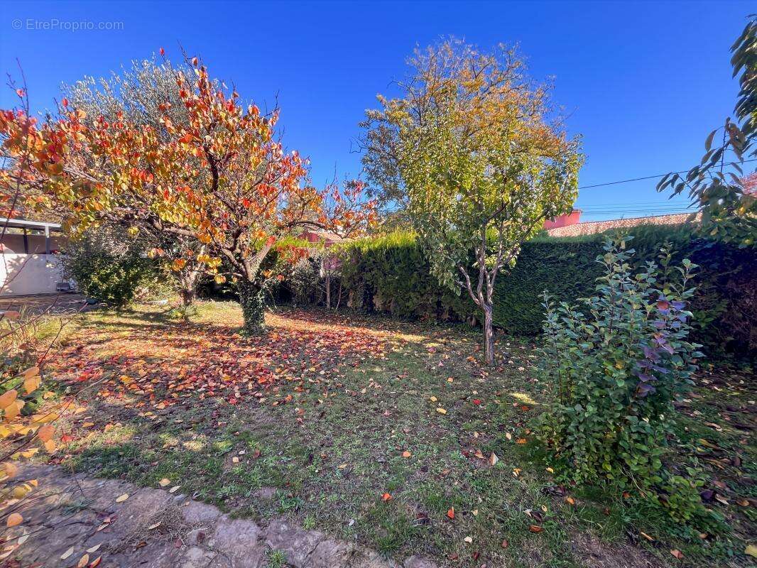 Maison à LIVRON-SUR-DROME