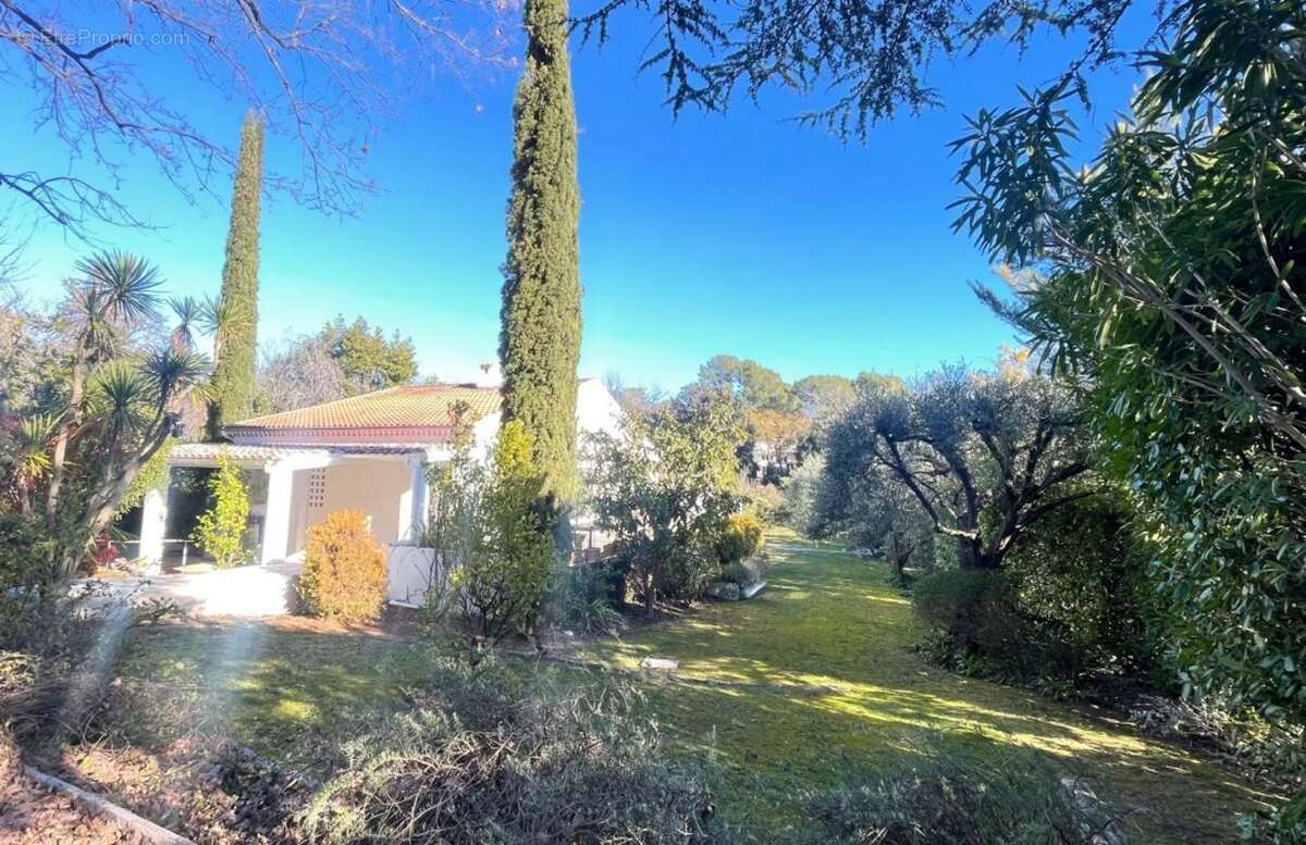 Maison à ROQUEFORT-LES-PINS