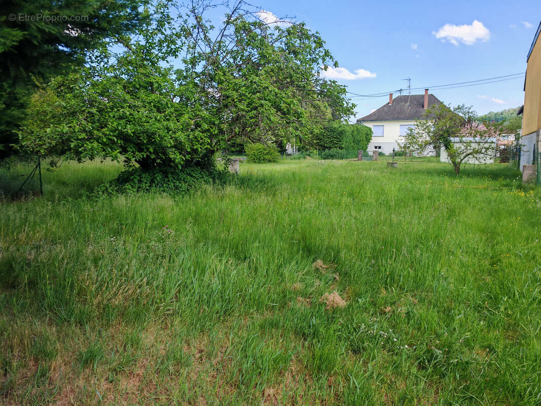 Terrain à GRESSWILLER
