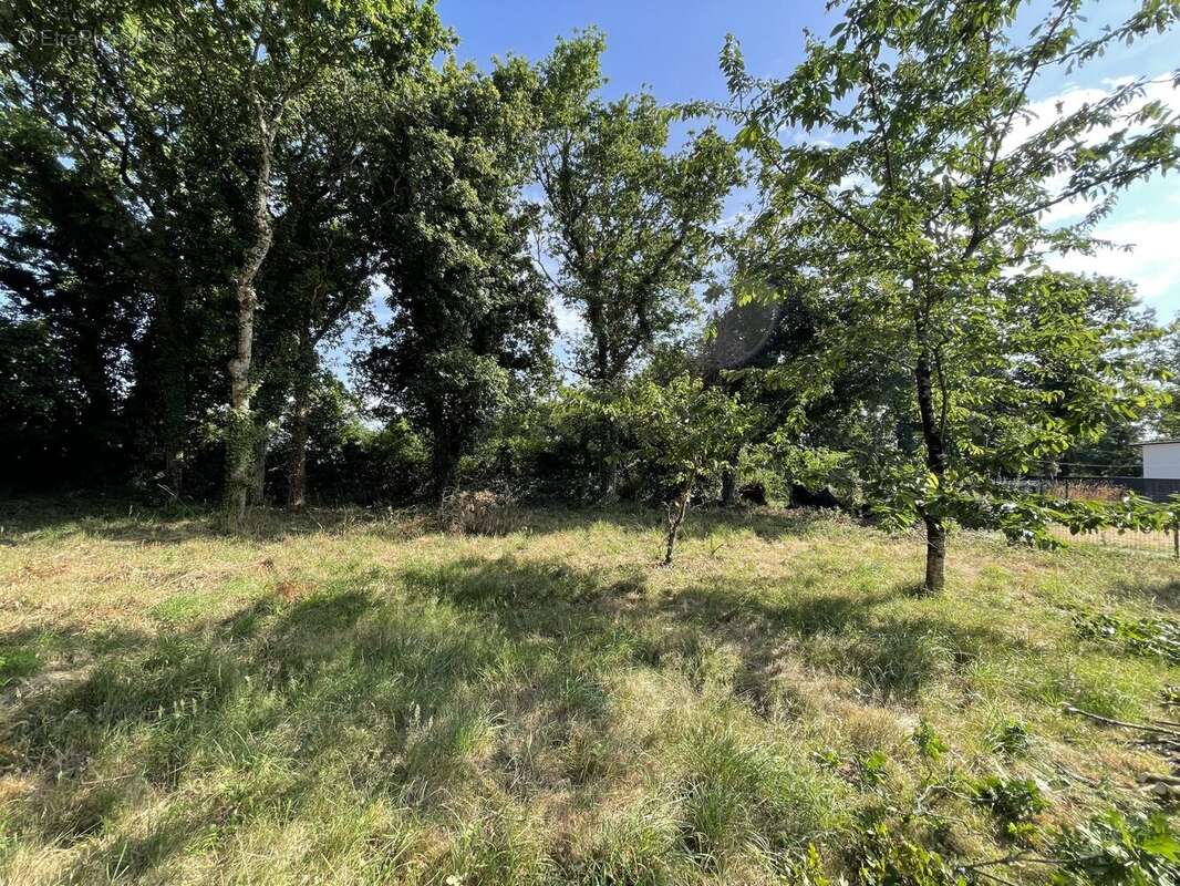 Terrain 569 m² à Sarzeau  - photo 7