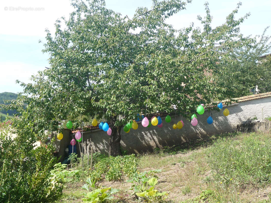 Photo 4 - Maison à AMPLEPUIS