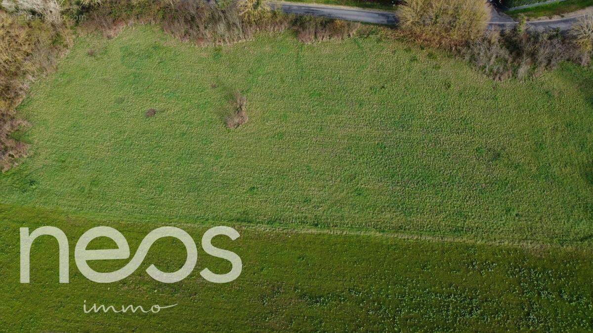 Terrain à SAINTE-THORETTE