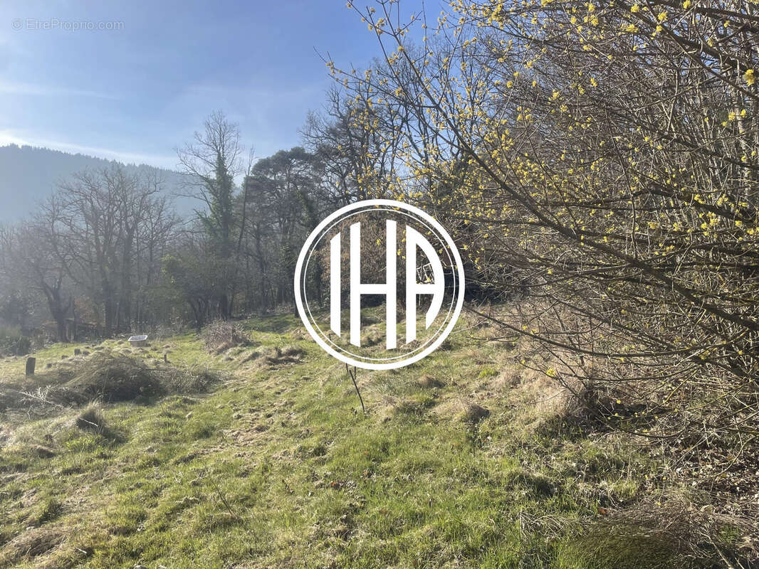 Terrain à THANNENKIRCH