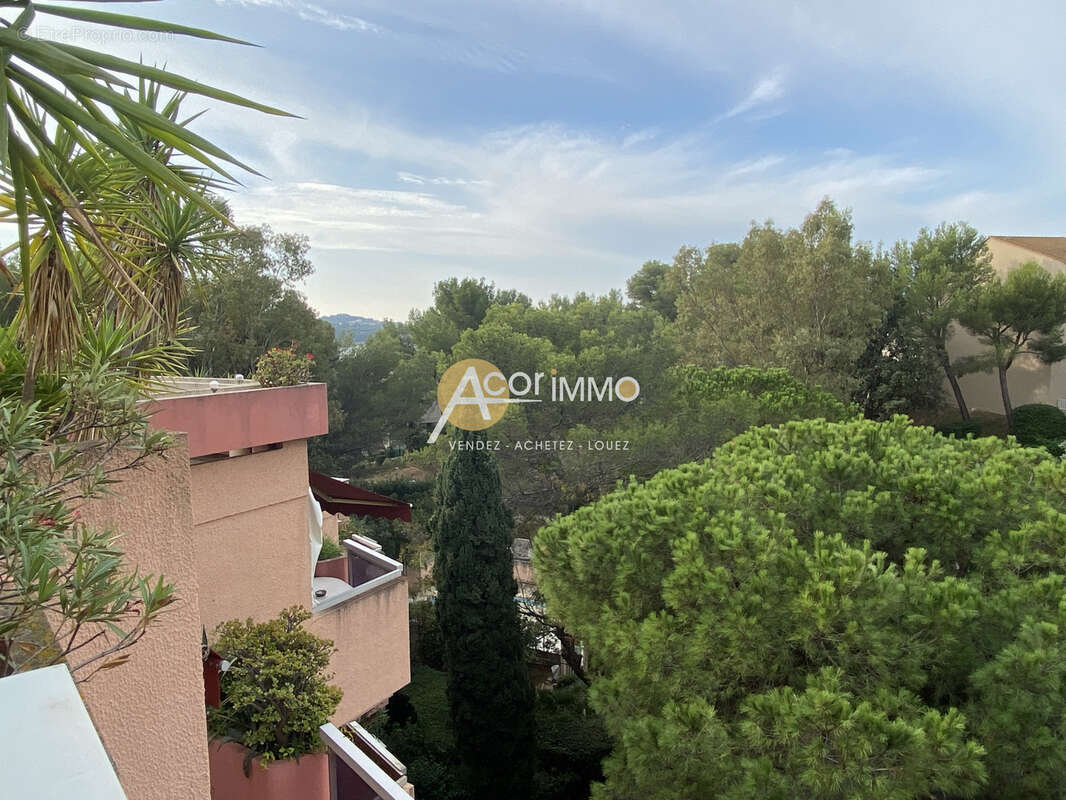 Superbe studio meublé à Tamaris, avec terrasse et ascenseur - photo 6