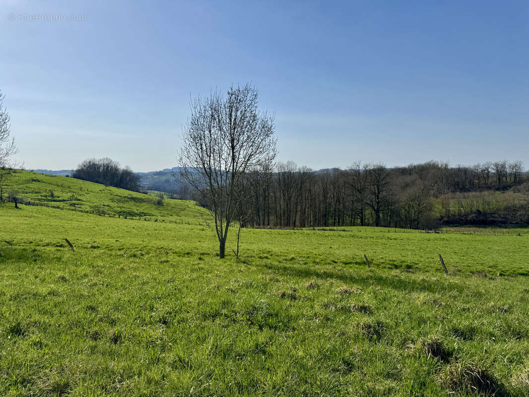 Terrain à ALLASSAC