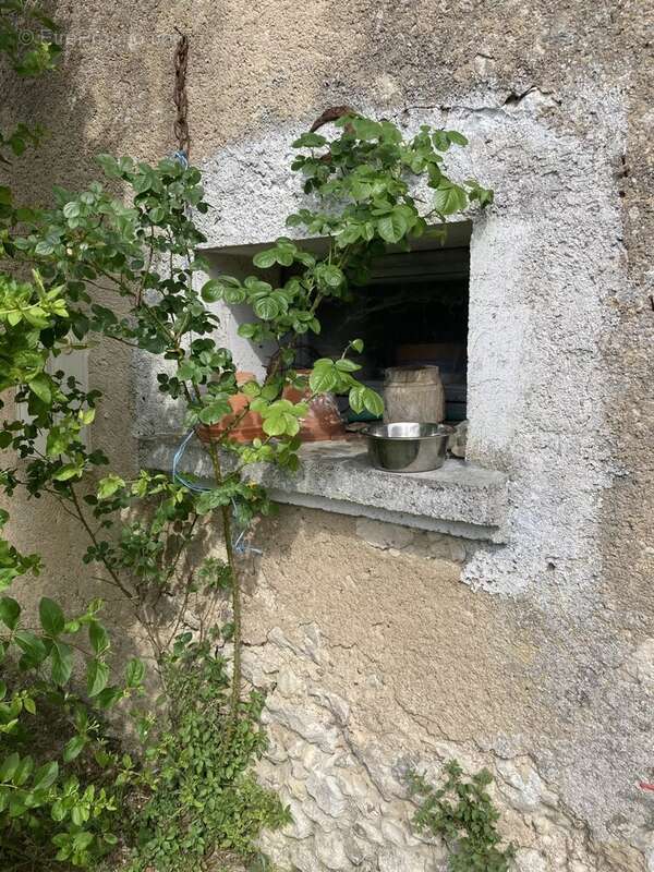 Maison avec 4 chambres, dépéndances et piscine - photo 20