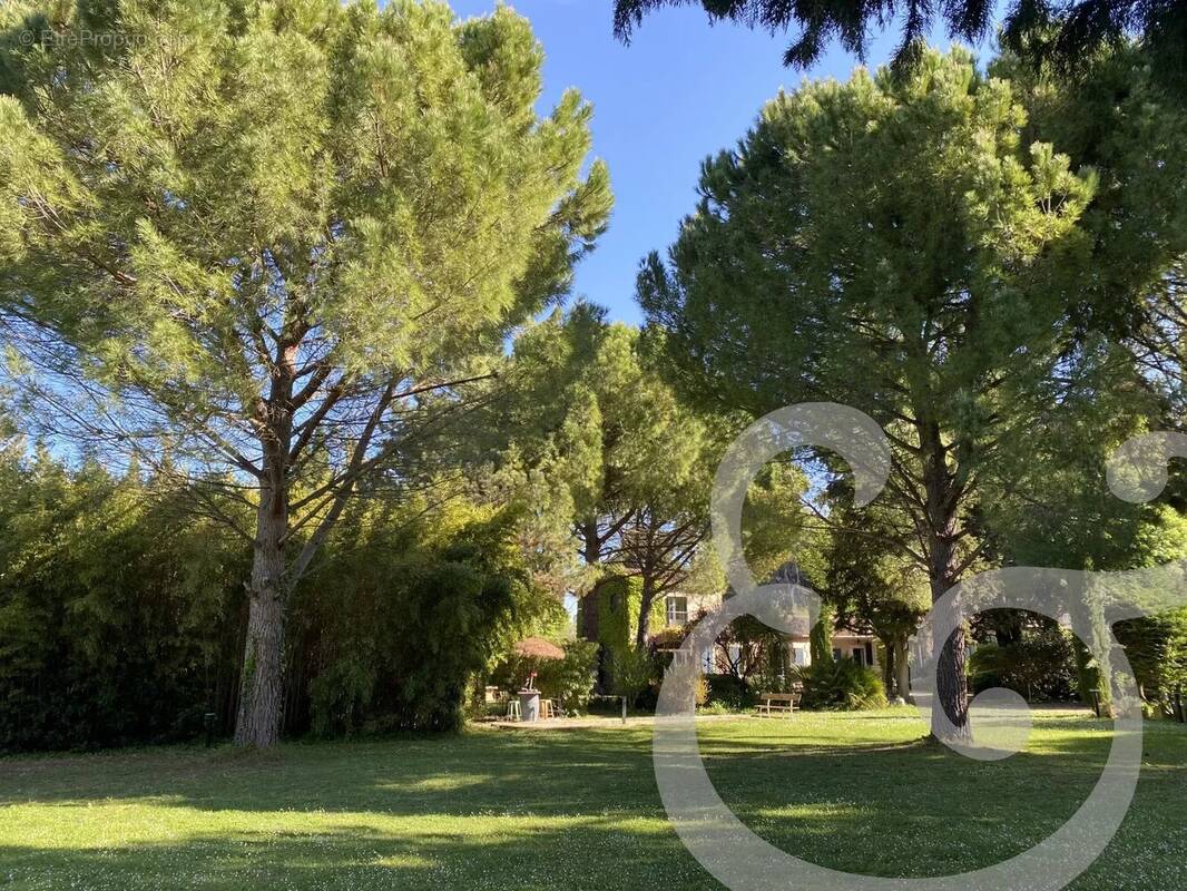 Maison à SAINT-REMY-DE-PROVENCE