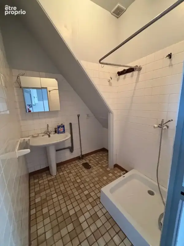 Maison à vendre 3 pièces LA GUERCHE SUR L'AUBOIS (18) - photo 5