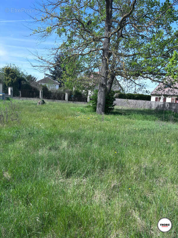 Terrain à LES MUREAUX