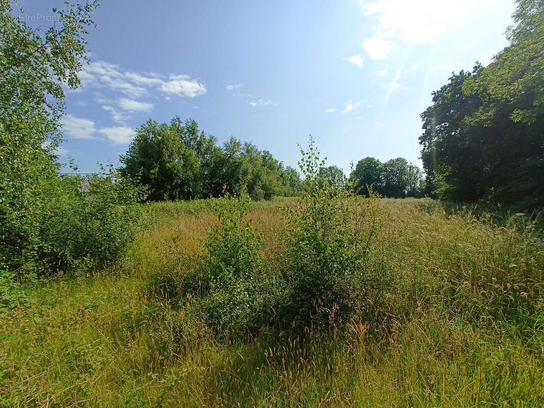 Terrain à LA LANDE-D&#039;AIROU