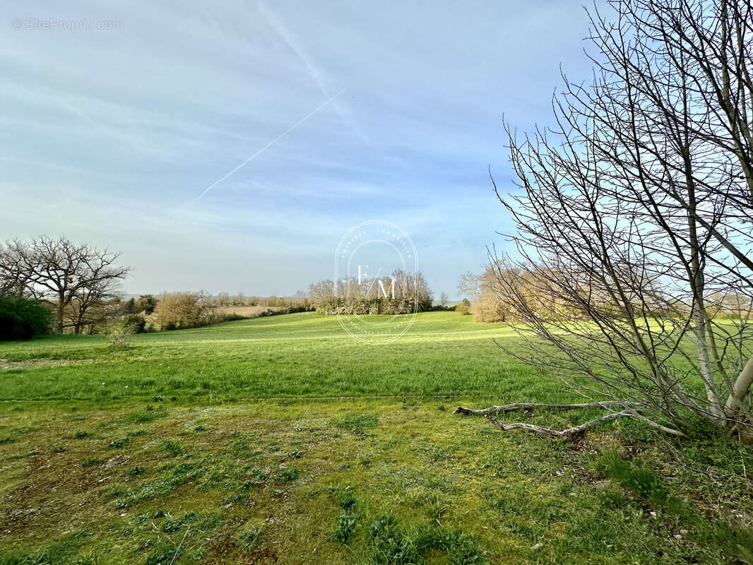 Le château - photo 11