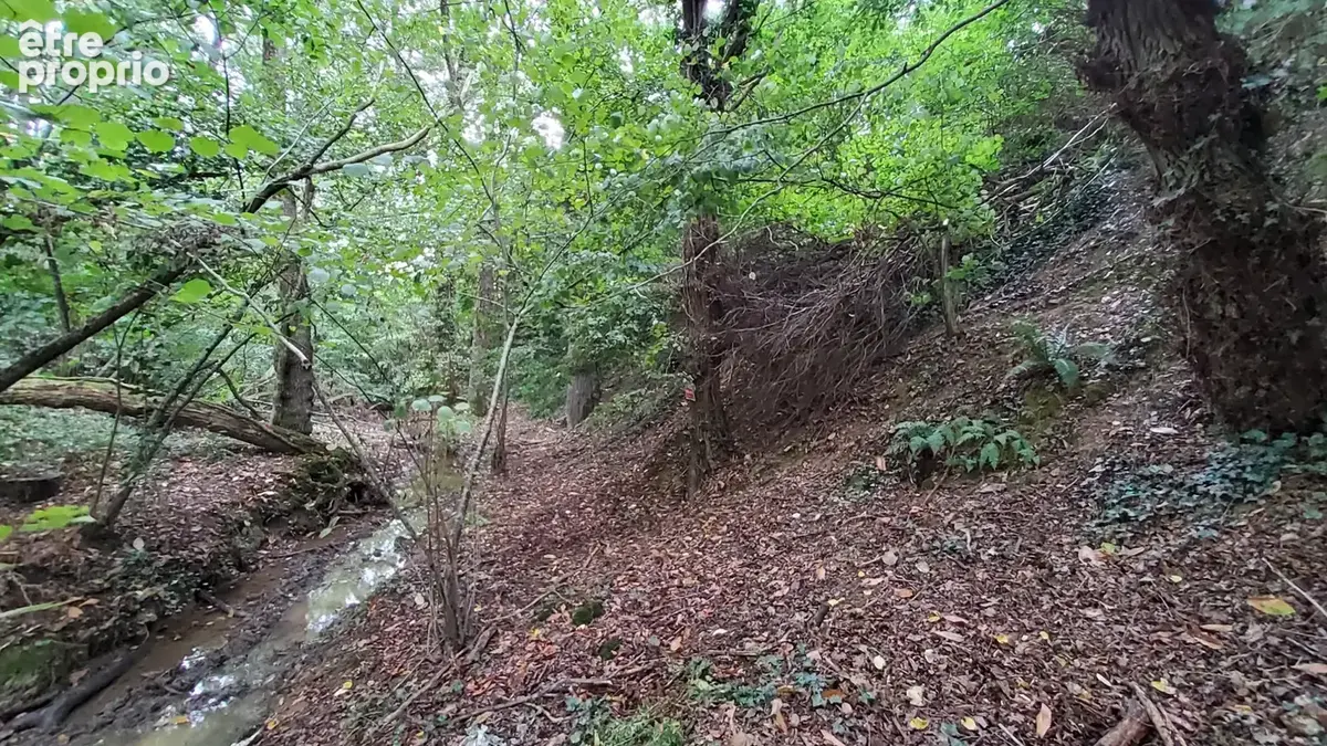 A VENDRE - Terrain de loisirs boisé 3650 m2 à POLIGNE - photo 4