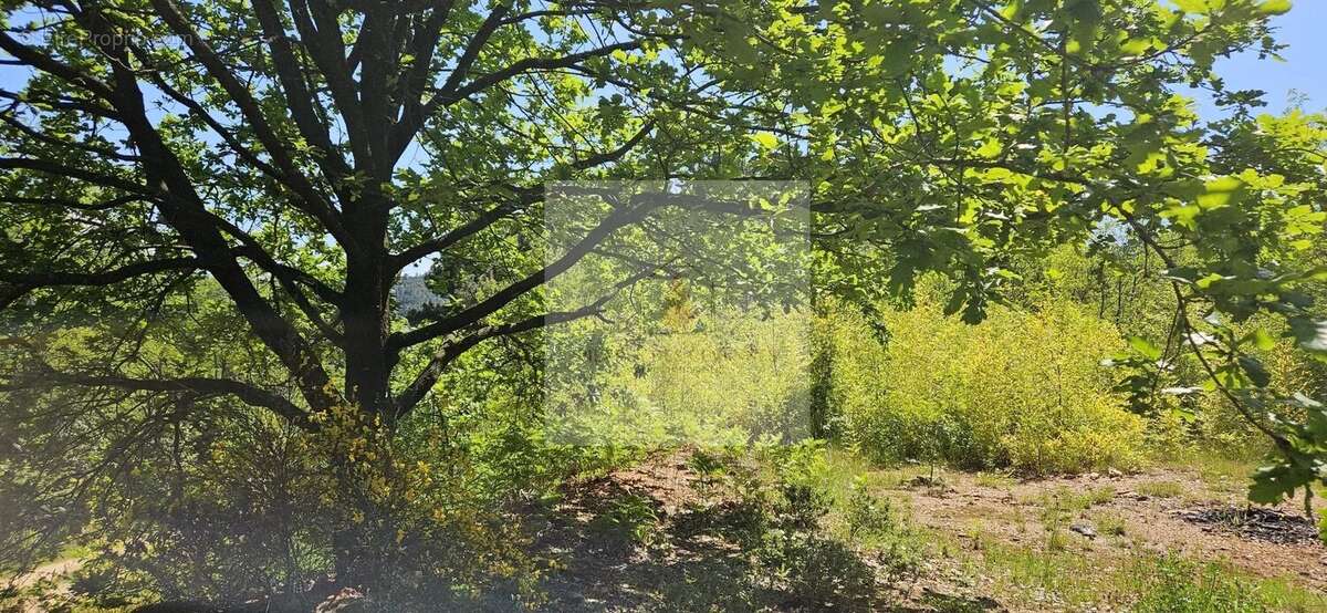 Terrain à SAINTE-CECILE-D&#039;ANDORGE