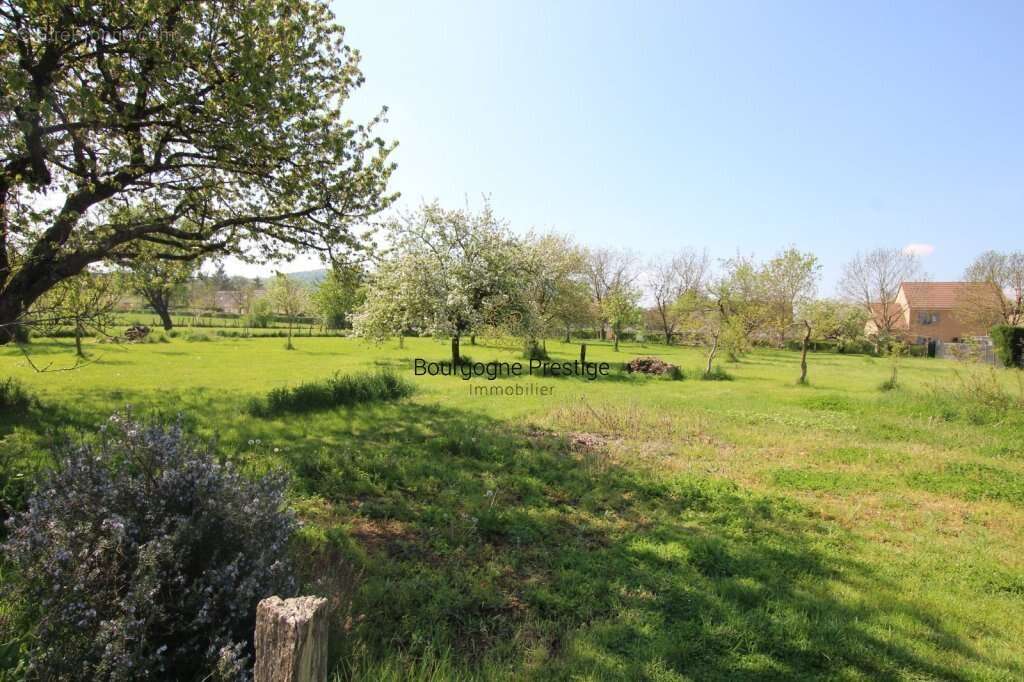 Maison familiale de 151 m² sur sous-sol avec piscine et parc clos de 3 051 m² - photo 4
