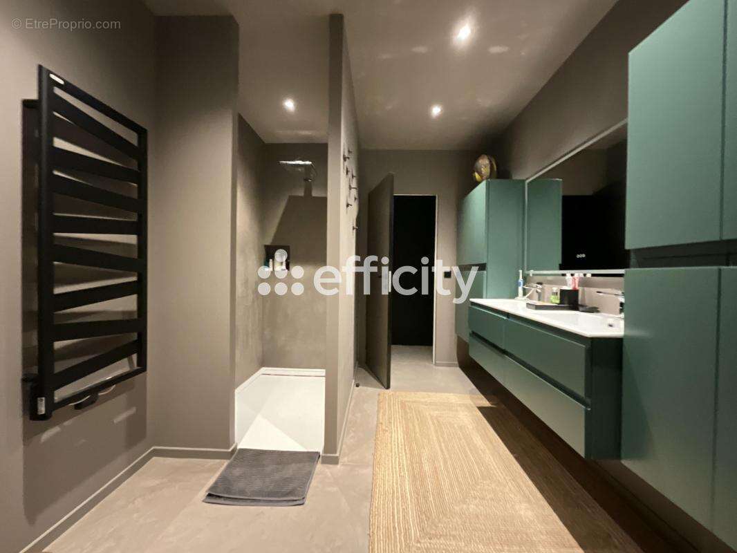 Maison 261 m² à Saint-Lager-Bressac  - photo 15