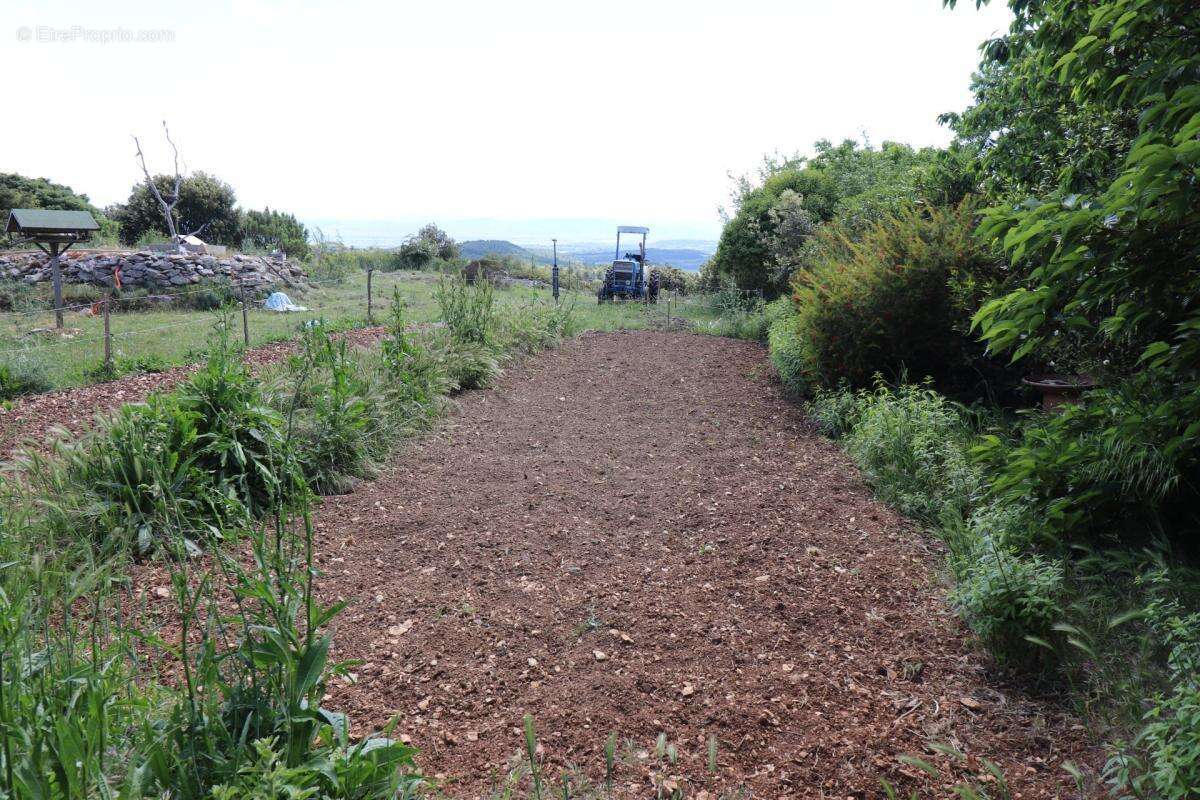 A vendre propriete de 8 hectares  au coeur du  minervois (34) - photo 8