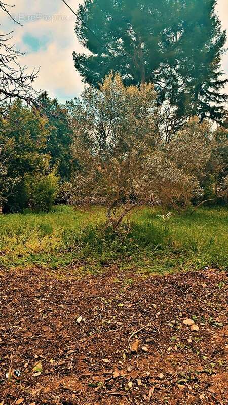 Terrain 515 m² à Marignane  - photo 2