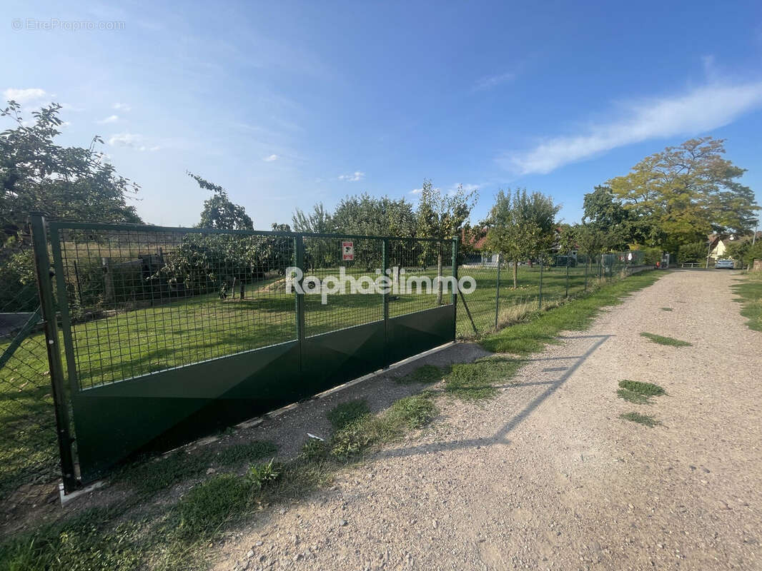 Terrain à SAESSOLSHEIM