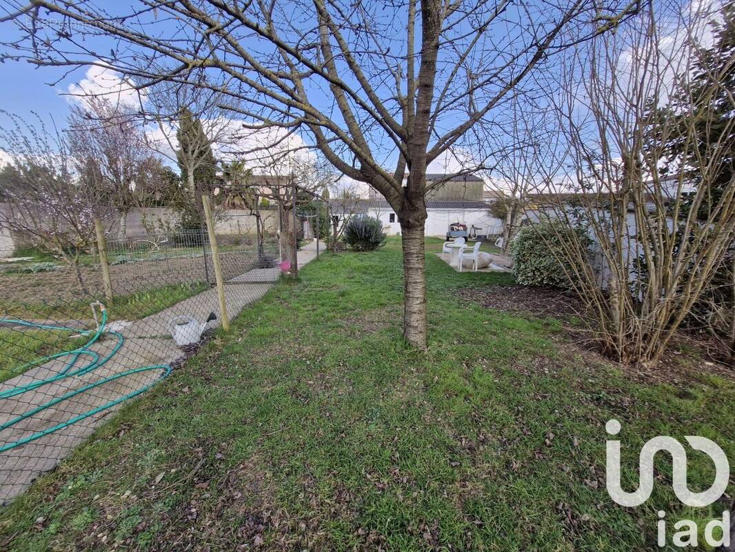 Photo 1 - Terrain à MARANS