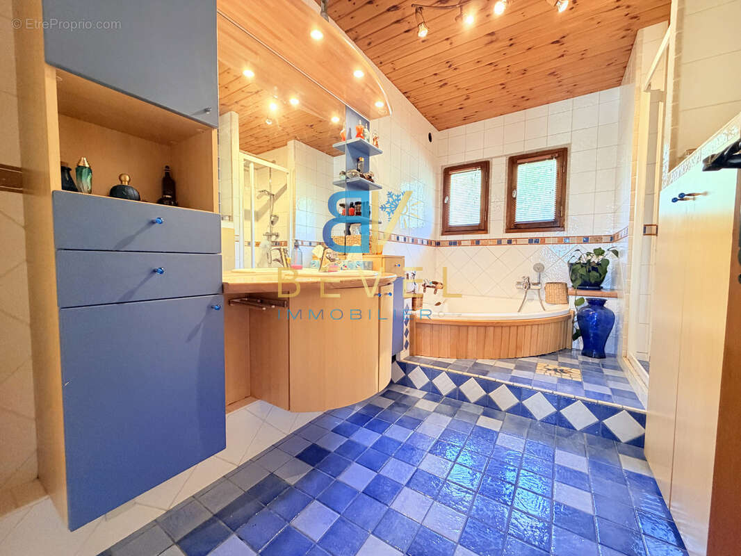 (73) LA TOUSSUIRE - Rare chalet familial - 4 appartements indépendants - Vue panoramique & sublime jardin - photo 12