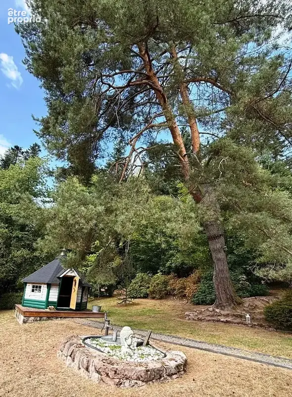 Magnifique Propriété isolée entre Lac de Pierre Percée et le Donon - photo 5