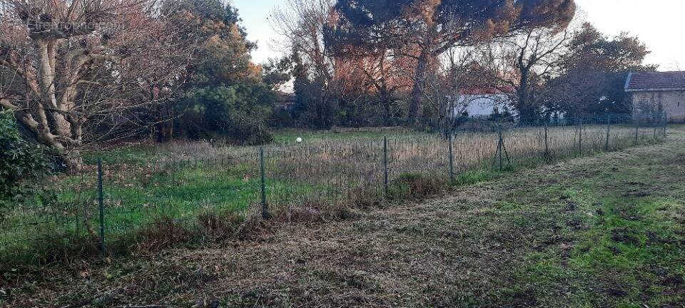 Terrain à LA TESTE-DE-BUCH