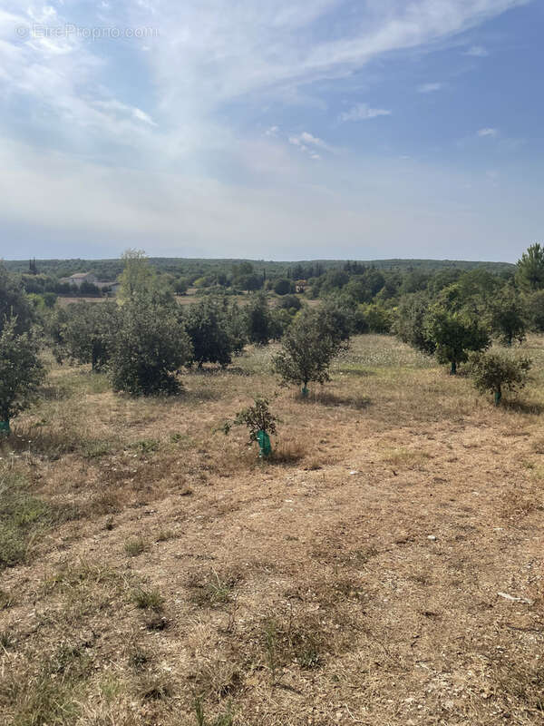 À vendre   Terrain constructible de plus de 1 300 m2 à Issirac - photo 3